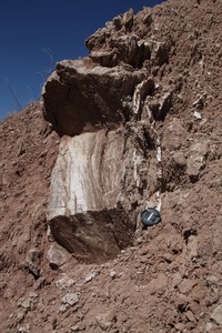 Gypsum layer in Todilto